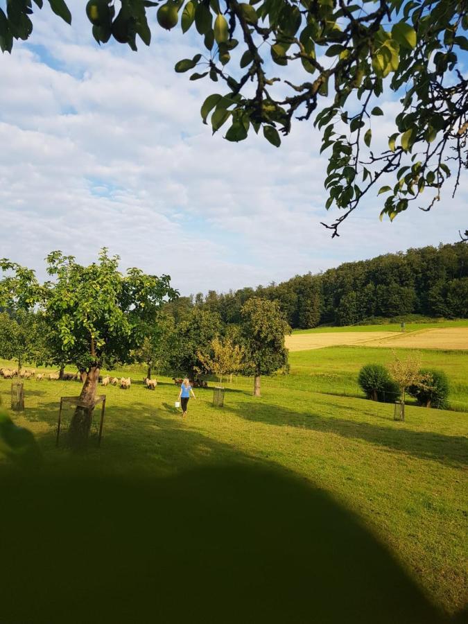 Ferienbauernhof Daire Lügde Dış mekan fotoğraf